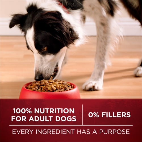 Purina ONE True Instinct Lean Muscle Support Adult Dry Dog Food Real Beef Perspective: bottom