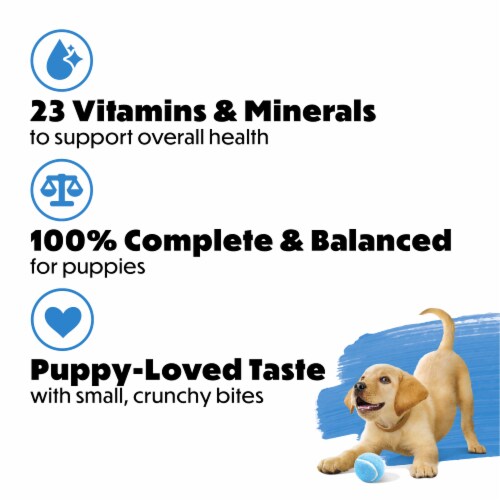 Purina Beneful Healthy Puppy Natural High Protein Puppy Dry Dog Food With Farm-Raised Chicken Perspective: bottom