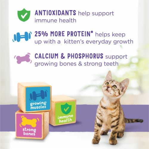 Purina Kitten Chow Healthy Development Dry Cat Food Real Chicken 14 lb Metro Market