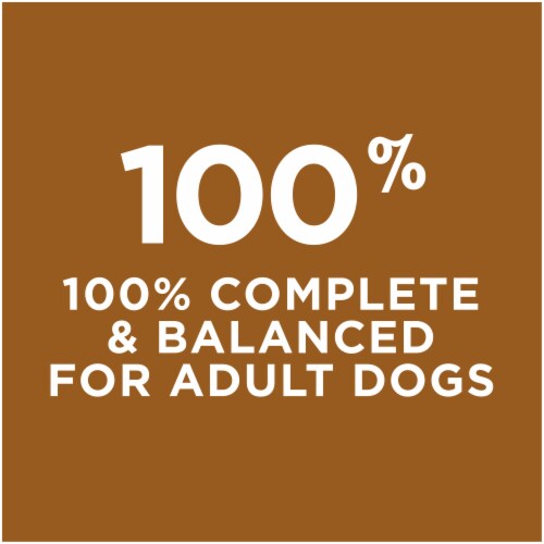 Purina® Dog Chow® Little Bites Real Chicken & Beef for Small Dog Dry Dog Food Perspective: bottom
