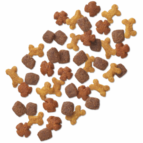 Dog Chow Small Dog Dry Food with Real Chicken Perspective: bottom