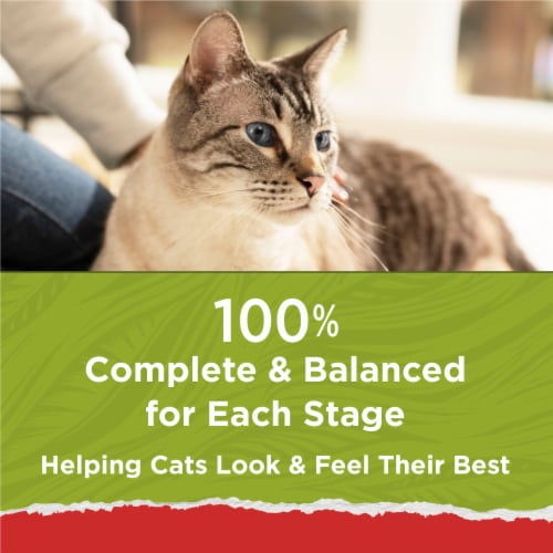 Cat Chow Naturals Original Chicken & Salmon Dry Cat Food Perspective: bottom
