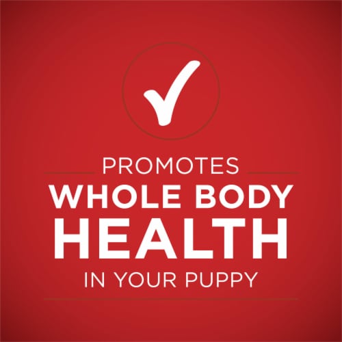 Purina one classic ground dog food cheap