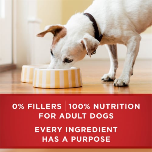 Purina ONE® Natural SmartBlend Tender Cuts in Gravy Beef & Barley High Protein Wet Dog Food Perspective: bottom