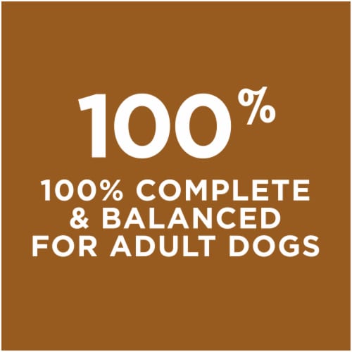 Dog Chow Little Bites Real Chicken & Beef Adult Dry Dog Food Perspective: bottom