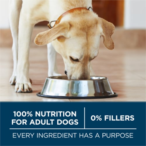 Purina ONE® SmartBlend® Joint Health Large Breed Adult Formula Natural Dry Dog Food Perspective: bottom