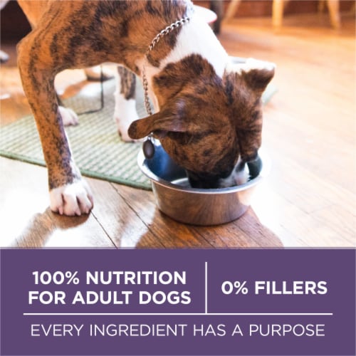 Purina ONE +Plus Vibrant Maturity Adult 7+ Dry Dog Food Chicken & Rice Perspective: bottom