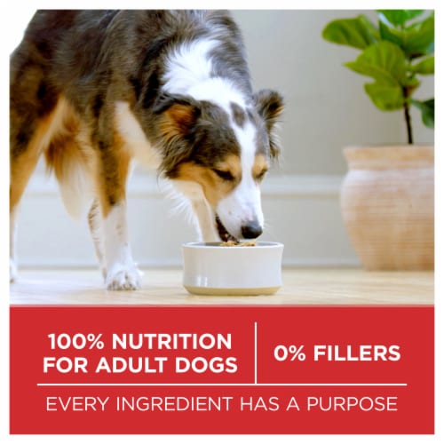 Purina ONE® SmartBlend® Chicken & Rice Formula Natural Dry Adult Dog Food Perspective: bottom