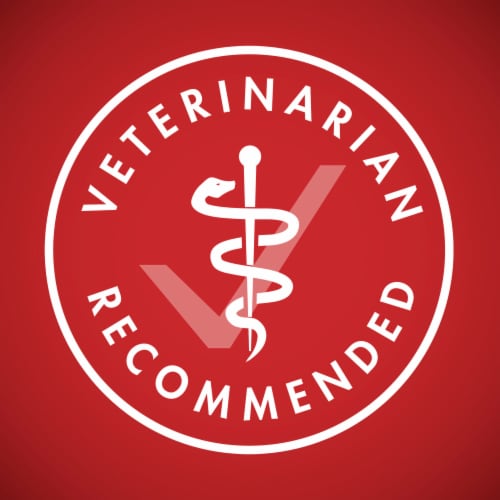 Purina ONE® SmartBlend® Lamb & Rice Formula Natural Adult Dry Dog Food Perspective: bottom