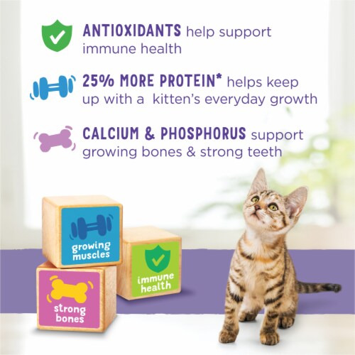 Purina® Kitten Chow® Nurture Dry Kitten Food Perspective: bottom