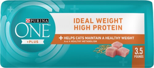 Purina ONE Healthy Metabolism Natural Adult Dry Cat Food Perspective: bottom
