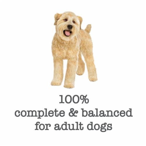 Purina Beneful Medleys Wet Dog Food Romana Style Chicken in Sauce Perspective: bottom