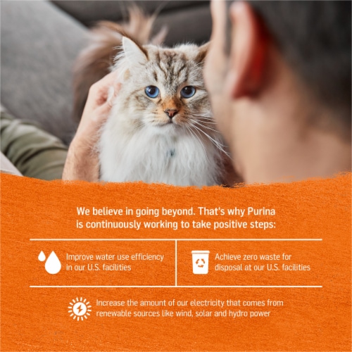 Purina Beyond Grain Free Wet Cat Food Pate Chicken & Sweet Potato Perspective: bottom