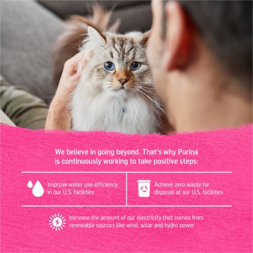 Purina Beyond Grain Free Wet Cat Food Pate Wild Salmon Perspective: bottom