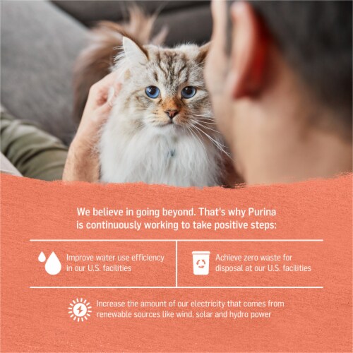 Purina Beyond Wet Cat Food Wild Alaskan Salmon & Sweet Potato in Gravy Perspective: bottom