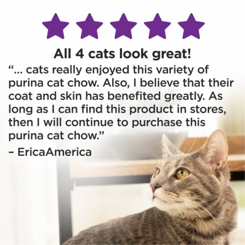 Purina® Cat Chow Gentle Dry Cat Food Perspective: bottom