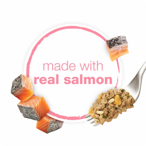 Purina Beneful® Chopped Blends™ with Salmon Wet Dog Food Perspective: bottom