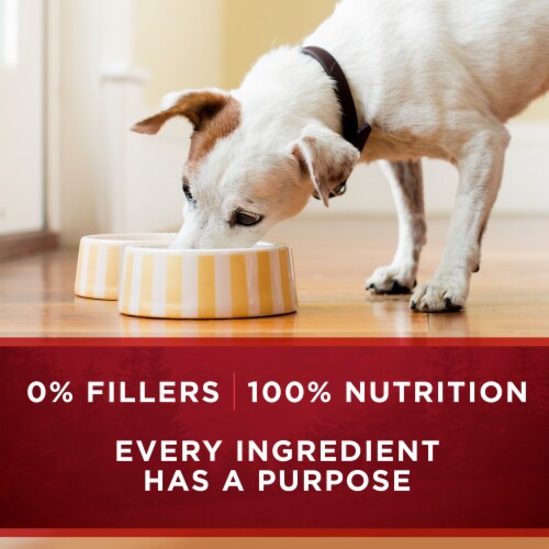 Purina ONE True Instinct Grain Free Wet Dog Food Classic Ground Real Game Bird Perspective: bottom