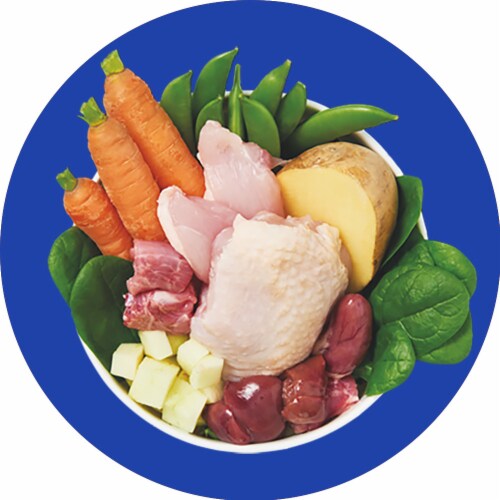 Purina Beyond Grain Free Adult Dry Cat Food White Meat Chicken & Egg Recipe Perspective: bottom