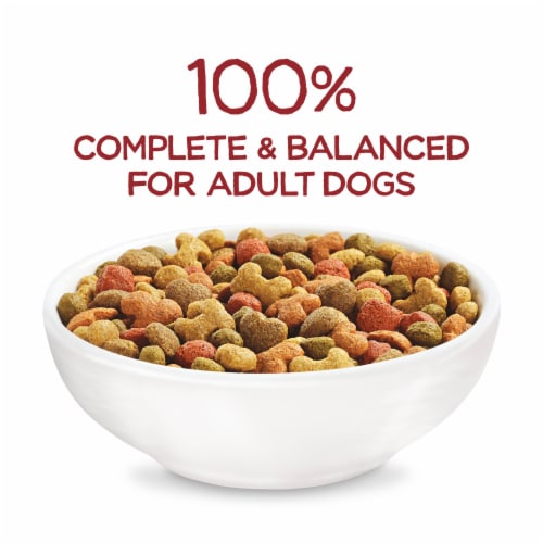 Purina Beneful Originals with Real Beef Adult Dog Food Perspective: bottom