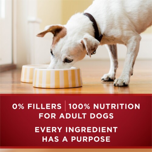 Purina ONE® SmartBlend® True Instinct Real Turkey & Venison in Gravy Adult Wet Dog Food Perspective: bottom