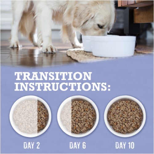 Purina® Beyond® Grain Free Turkey & Sweet Potato Recipe Perspective: bottom