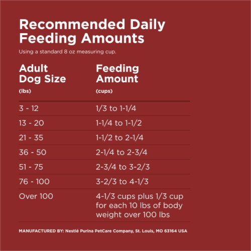 Purina Dog Chow Complete Adult Dry Dog Food Beef Perspective: bottom