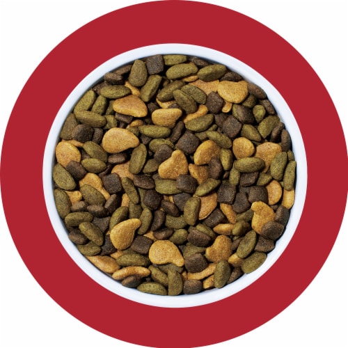 Purina ONE True Instinct High Protein Adult Dry Dog Food Real Beef & Salmon Perspective: bottom