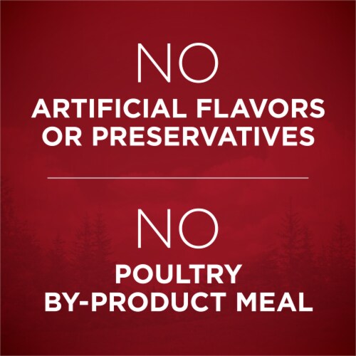 Purina ONE True Instinct High Protein with Real Beef & Salmon Adult Dry Dog Food Perspective: bottom