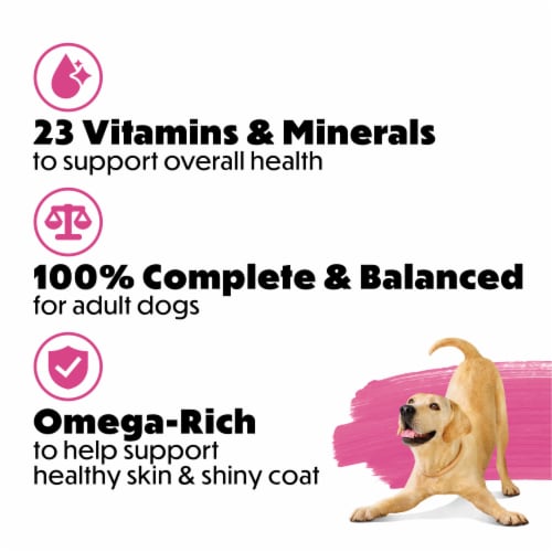 Purina Beneful Originals Natural Dry Dog Food With Natural Salmon Perspective: bottom