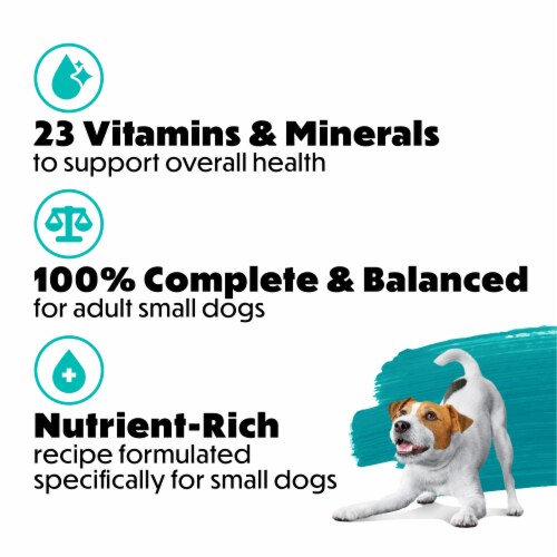 Beneful IncrediBites With Real Beef Small Dry Dog Food Perspective: bottom
