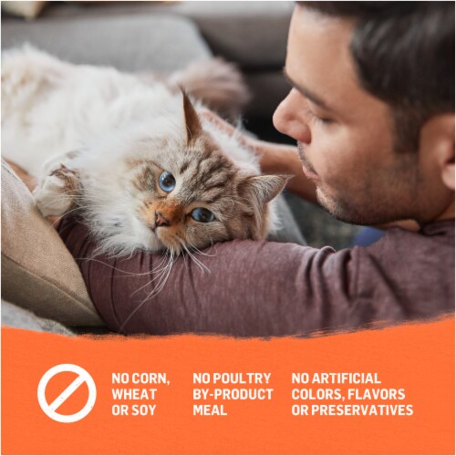 Purina® Beyond® Organic Chicken Egg and Sweet Potato Dry Cat Food Perspective: bottom