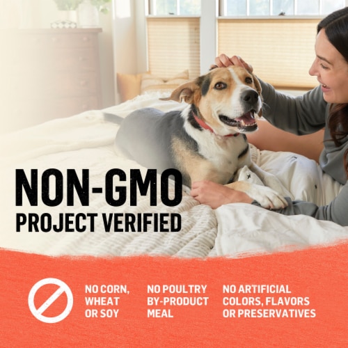 Organic wet dog food online