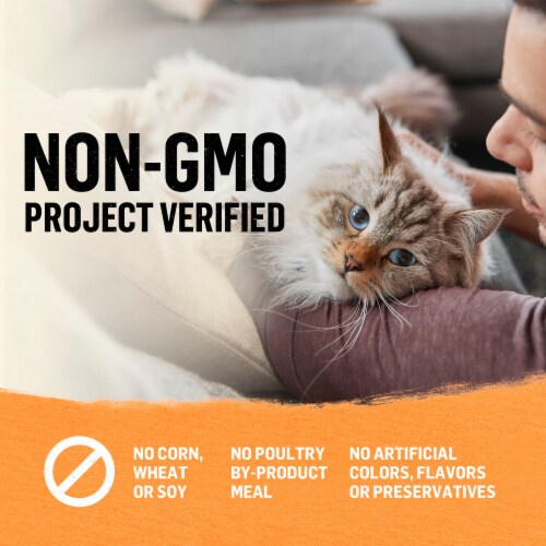 Purina Beyond Organic Wet Cat Food Pate Organic Chicken & Carrot Perspective: bottom