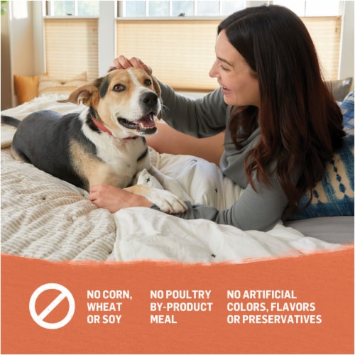 Beyond Organic Chicken Egg & Sweet Potato Adult Dry Dog Food Perspective: bottom