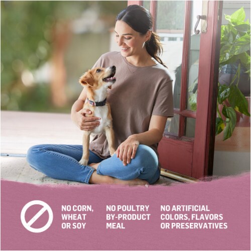 Beyond Organic Chicken Egg & Carrot Recipe Dry Small Dog Food Perspective: bottom