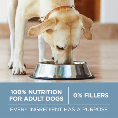 Purina ONE® +Plus Large Breed Puppy Formula Natural Dry Dog Food, 16.5 lb -  Kroger