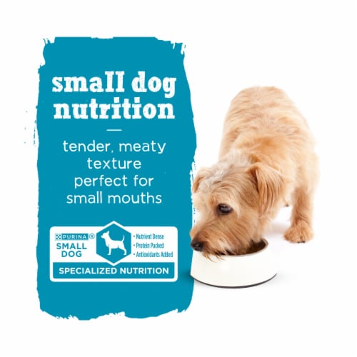 Purina Beneful Small Breed Wet Dog Food, Incredibites Pate With Real Beef Recipe Perspective: bottom