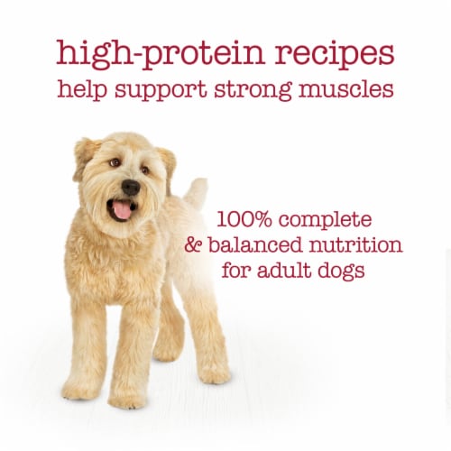 Purina Beneful Medleys Wet Dog Food Variety Pack Tuscan, Romana & Mediterranean Style Perspective: bottom