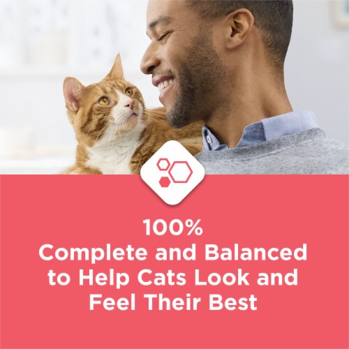 Purina Cat Chow Complete Dry Cat Food Real Salmon Perspective: bottom