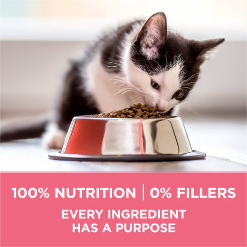 Purina ONE +Plus Healthy Kitten Natural Dry Cat Food Real Chicken Perspective: bottom