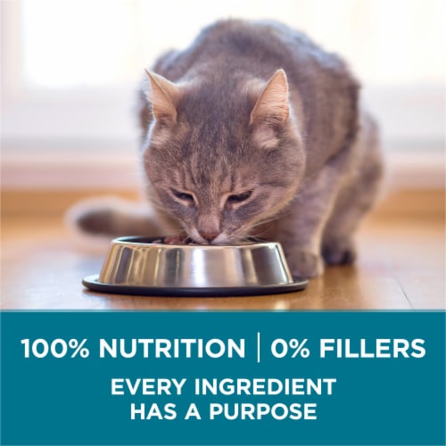 Purina ONE® Tender Selects Blend with Real Salmon Natural Dry Cat Food Perspective: bottom