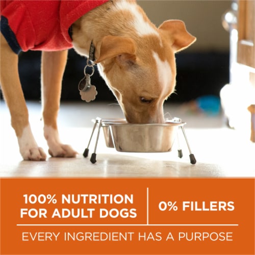 Purina ONE High Protein Healthy Weight Turkey Flavor Adult Dry Dog Food 8 lb Kroger