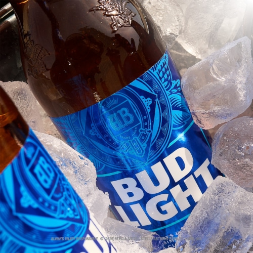 Bud Light American Light Lager Beer Perspective: bottom