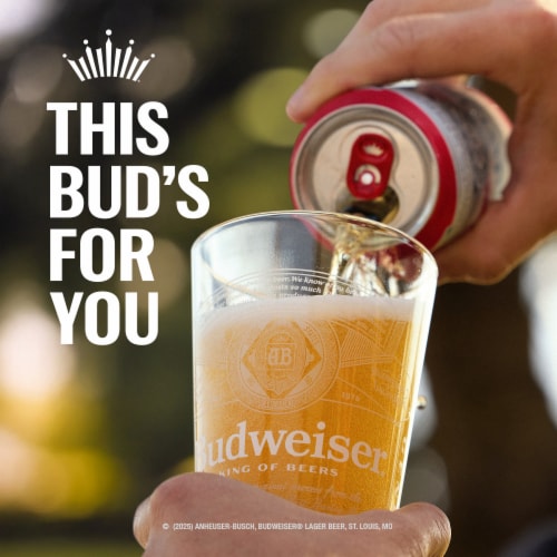 Budweiser American Lager Beer Perspective: bottom