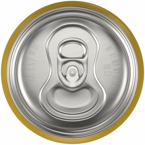 Busch Beer Tall Can Perspective: bottom