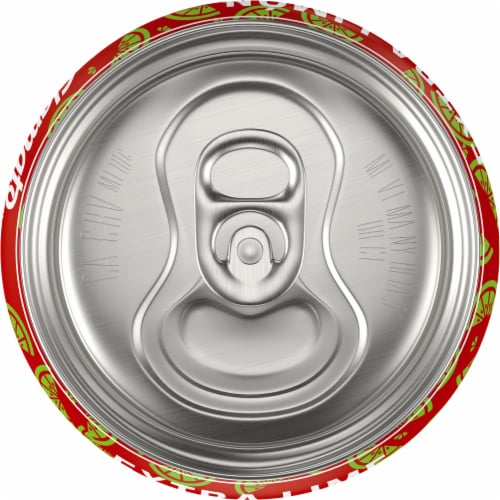 Bud Light Extra Lime Chelada Single Can Perspective: bottom