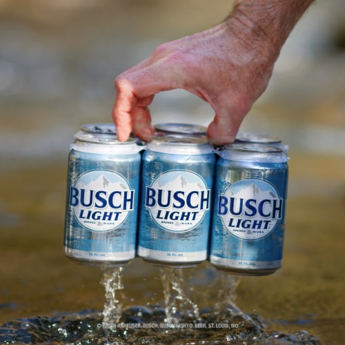 Busch Light Lager Beer Perspective: bottom