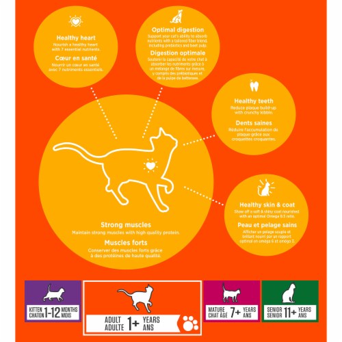 Iams proactive health healthy adult cat food top