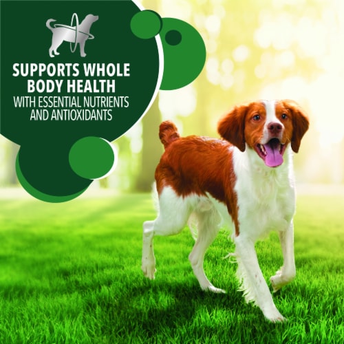 IAMS Advanced Health Immune Health Chicken & Superfoods Adult Dry Dog Food Perspective: bottom